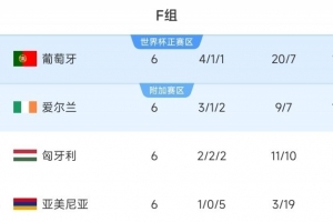 逆天改命！愛(ài)爾蘭世預賽前3輪僅拿1分，近3輪均取勝獲附加賽資格