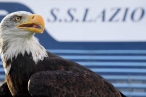 米體：拉齊奧將重啟主場(chǎng)放飛雄鷹儀式，將由新任馴鷹師負責訓練