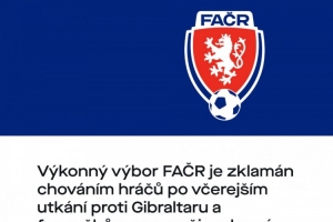 捷克足協(xié)向球迷致歉：紹切克將不再任隊長(cháng)，球員們也不會(huì )獲得獎金