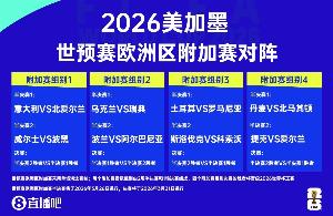 鏡報：愛(ài)爾蘭僅獲不到1000張世預賽附加賽門(mén)票，賽前機票售罄