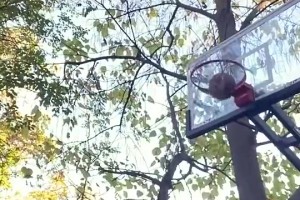 網(wǎng)紅惡搞當年的詹韋連線(xiàn)：不管韋德怎么扔，詹姆斯都能拿到！