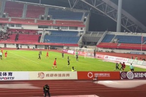 現場(chǎng)球迷實(shí)拍拜合拉木腳后跟破門(mén)：黑子們在哪里？